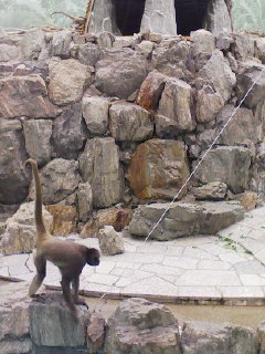 江戸川区自然動物園_f0112873_0133167.jpg