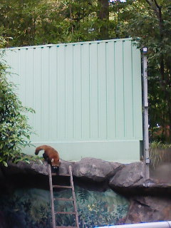 江戸川区自然動物園_f0112873_045538.jpg
