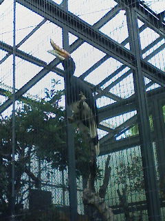 江戸川区自然動物園_f0112873_08275.jpg