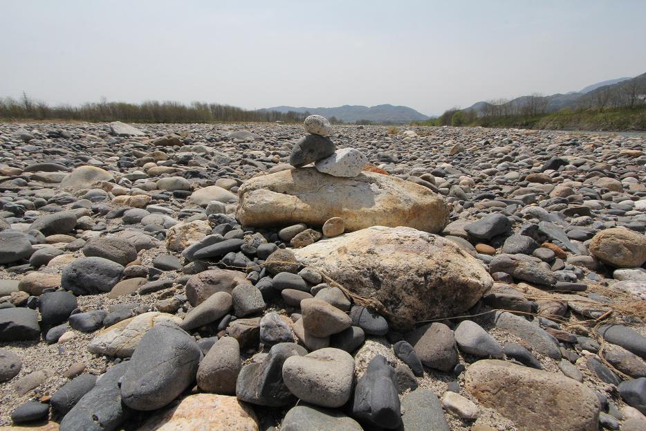 コムクドリ 犀川(さいがわ)の川原_a0107574_171591.jpg