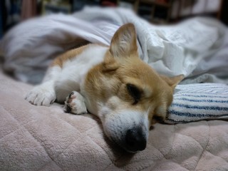 2月回想録　冬眠中・・・だった？_b0017974_6492010.jpg