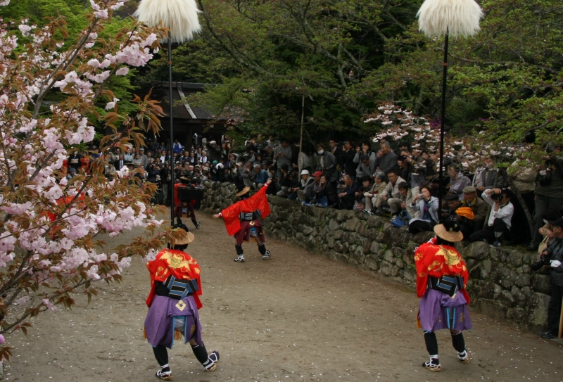 甲賀　油日神社の奴振り１_c0196076_2217061.jpg