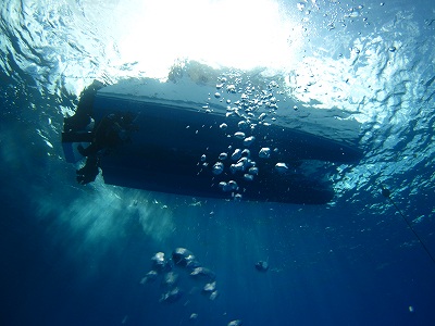 d0158177_2152013.jpg