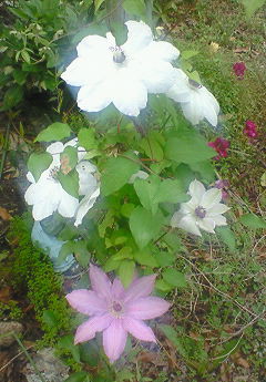 f0215179_94702.jpg