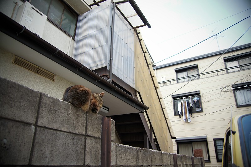 花見の路地裏では_c0109780_19295542.jpg