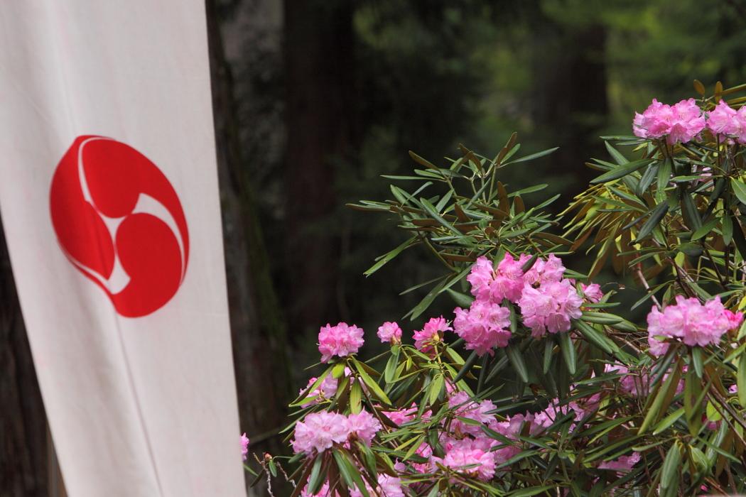 ささら舞<2>　花園神社　北茨城市 ２０１１年５月５日_e0143883_18452156.jpg