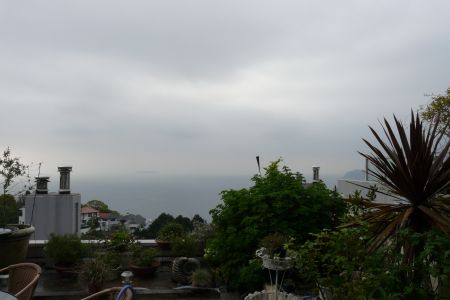 2011年5月6日 ブラックスワン_b0098584_95561.jpg