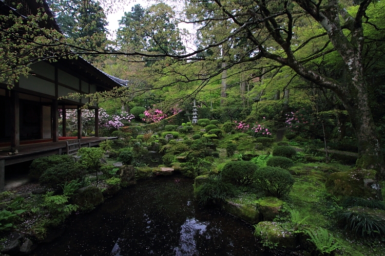 三千院_e0051888_22223883.jpg