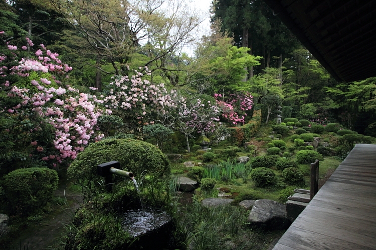 三千院_e0051888_22233167.jpg