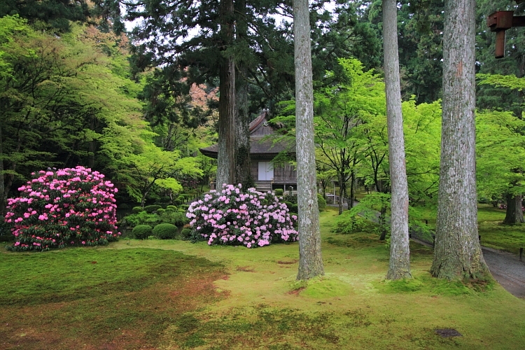 三千院_e0051888_2224183.jpg