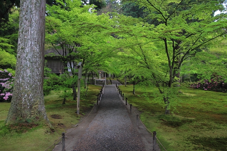 三千院_e0051888_22244591.jpg