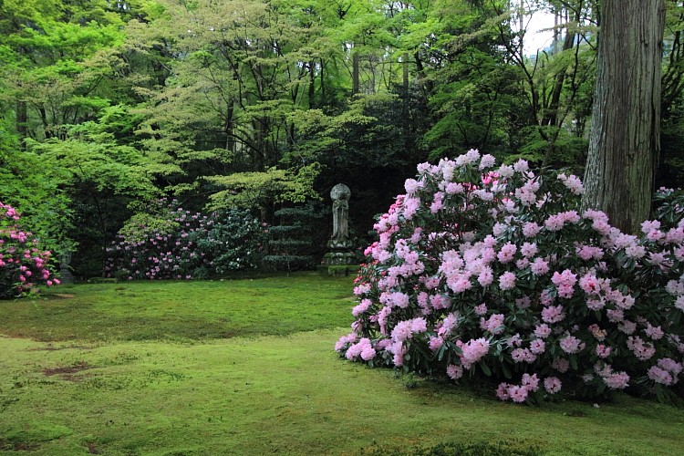 三千院_e0051888_2225163.jpg