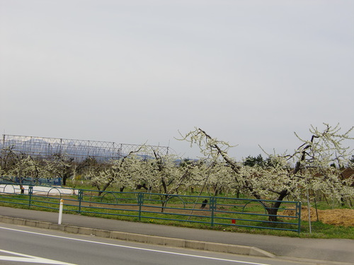 e0145589_2340312.jpg