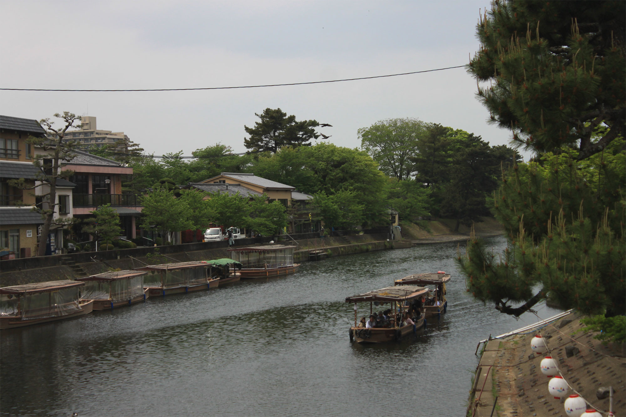 宇治上神社_d0217090_2343348.jpg