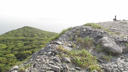 b0161394_2043570.jpg
