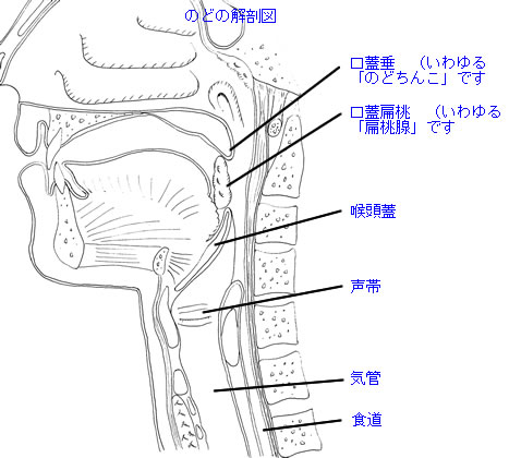a0126797_0151567.jpg