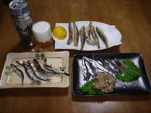 ★内房散策釣行★_e0147297_747417.jpg