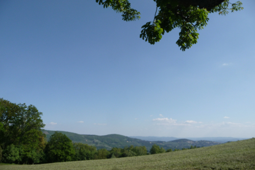 f0106597_417363.jpg