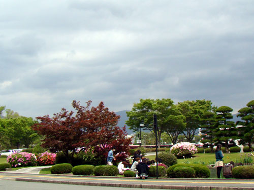 次男帰省_a0047200_8395522.jpg