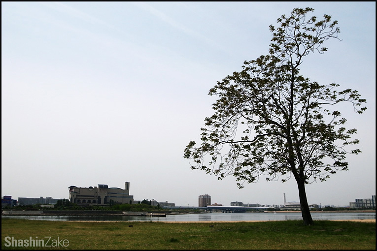 c0102003_7593351.jpg