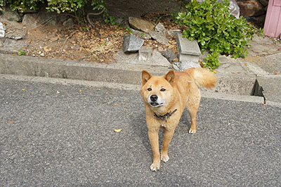b0117406_1457790.jpg