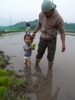 田植え！！_e0199407_112561.jpg