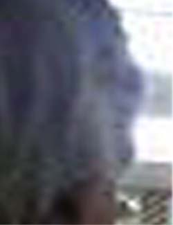 e0103408_173860.jpg