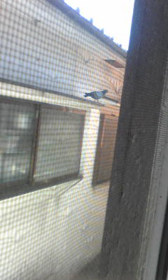 c0180209_20232759.jpg