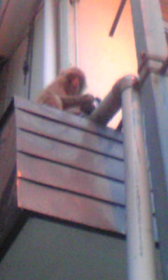 b0150911_9392650.jpg