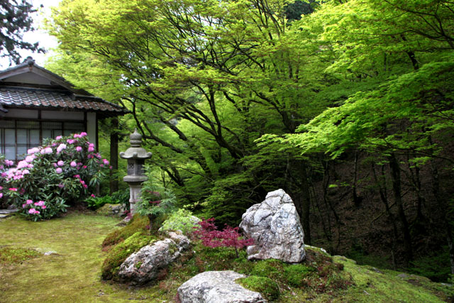 阿弥陀寺の春_e0048413_2250523.jpg