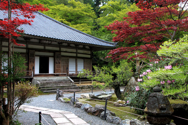 阿弥陀寺の春_e0048413_2251374.jpg