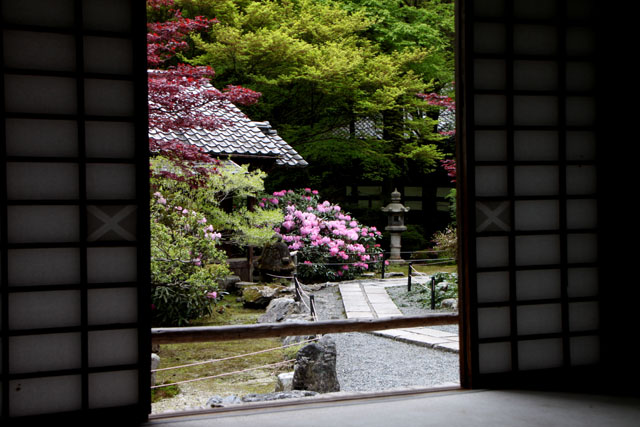 阿弥陀寺の春_e0048413_2252458.jpg