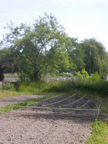 c0124619_0172424.jpg