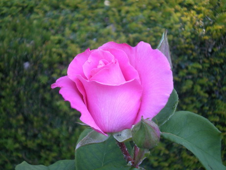c0124619_0193340.jpg