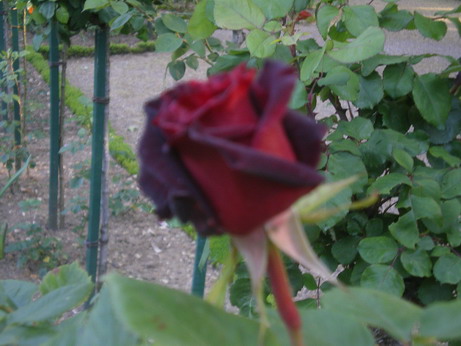 c0124619_0194974.jpg
