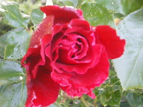 c0124619_0202323.jpg