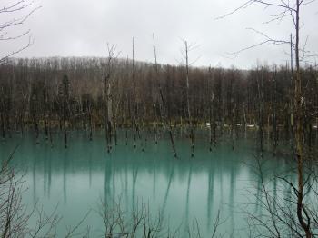 c0227522_14293779.jpg