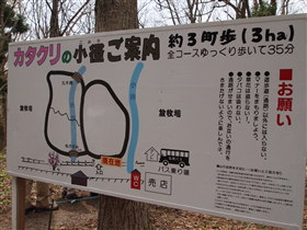 b0147224_14514410.jpg