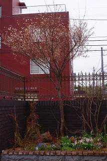 f0170524_13273570.jpg