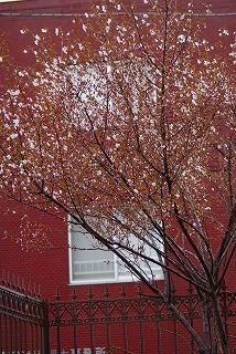 f0170524_13292952.jpg
