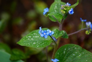 f0170524_13371374.jpg