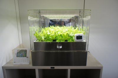 卓上型植物工場_d0004728_16572561.jpg