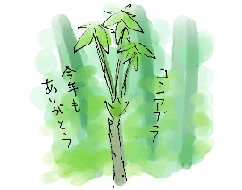 初ものコシアブラ_d0190828_695010.gif