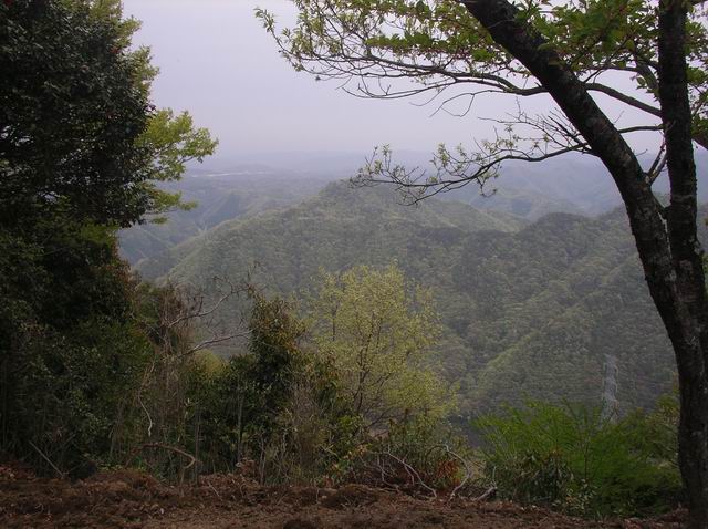 c0029332_9465780.jpg