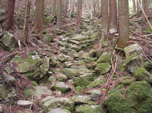 c0029332_9484539.jpg