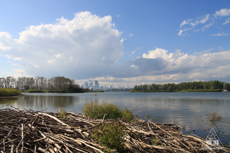 101 Tommy Thompson Park ~最後の奇跡~_c0211532_2257848.jpg