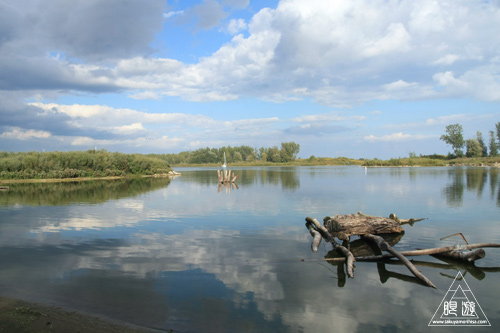 101 Tommy Thompson Park ~最後の奇跡~_c0211532_23381464.jpg