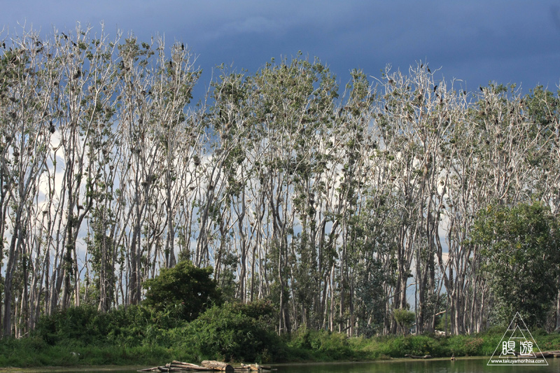 101 Tommy Thompson Park ~最後の奇跡~_c0211532_23421332.jpg