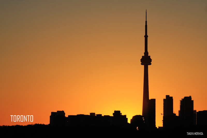 101 Tommy Thompson Park ~最後の奇跡~_c0211532_23554411.jpg