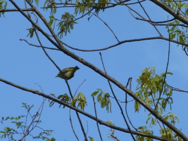 b0169238_23173677.jpg